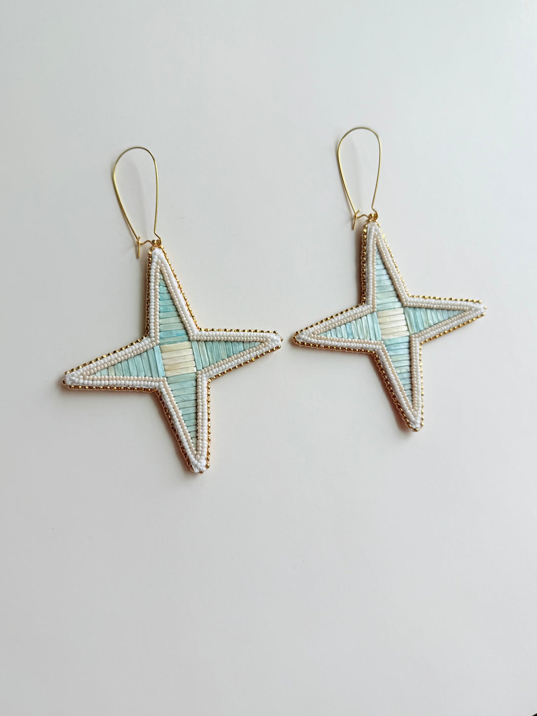 Porcupine Quill Earrings + Stars +